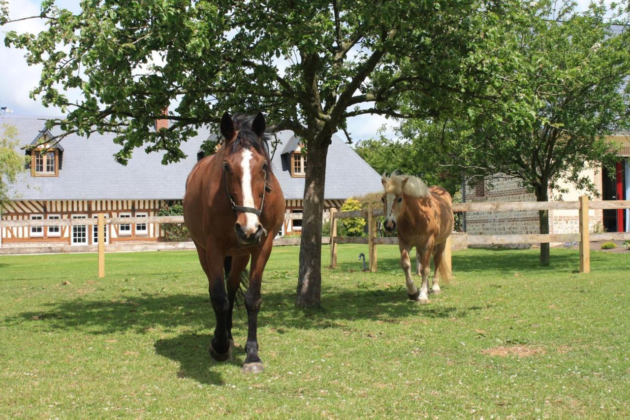 Le Clos Marie Sausseuzemare-en-Caux Exterior foto